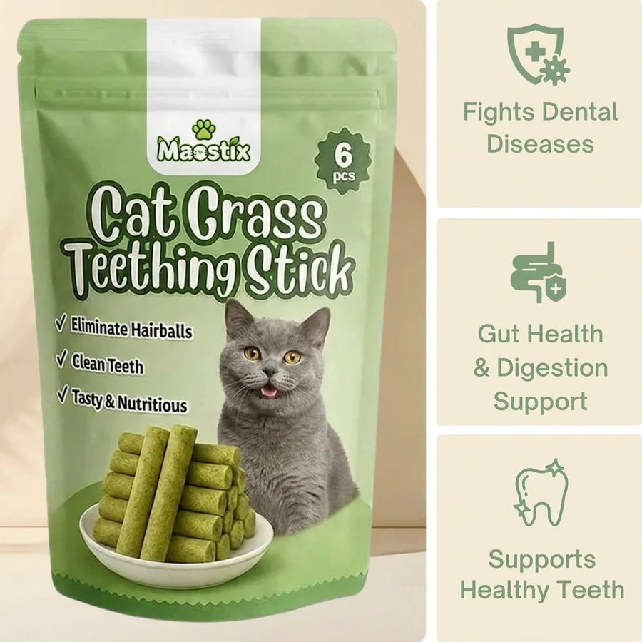 Cat Grass Teething Sticks