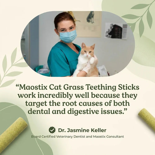 Cat Grass Teething Sticks