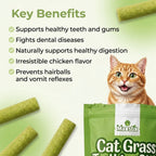 Cat Grass Teething Sticks
