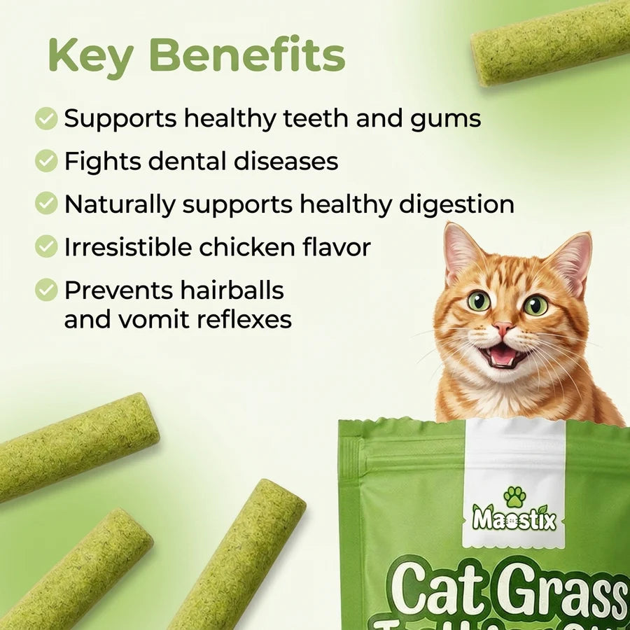 Cat Grass Teething Sticks