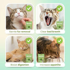 Cat Grass Teething Sticks