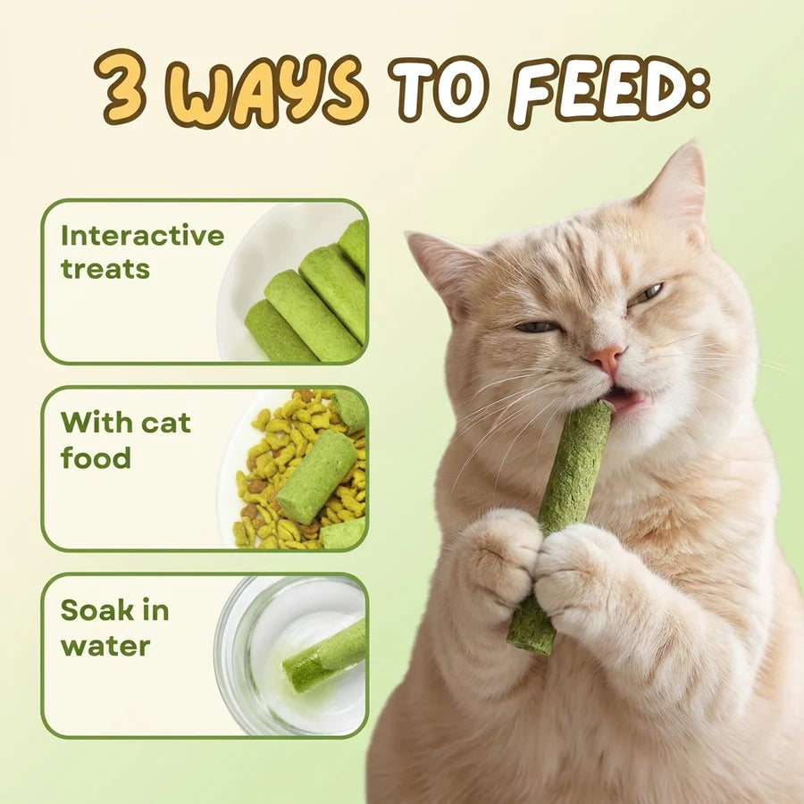 Cat Grass Teething Sticks
